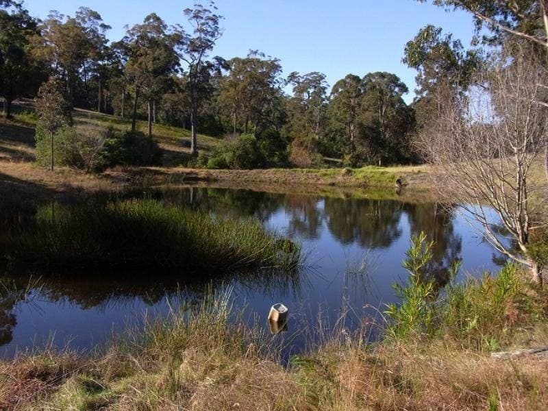 Lot 164 Back Creek Road, Nethercote, Nethercote - Thumbnail 4