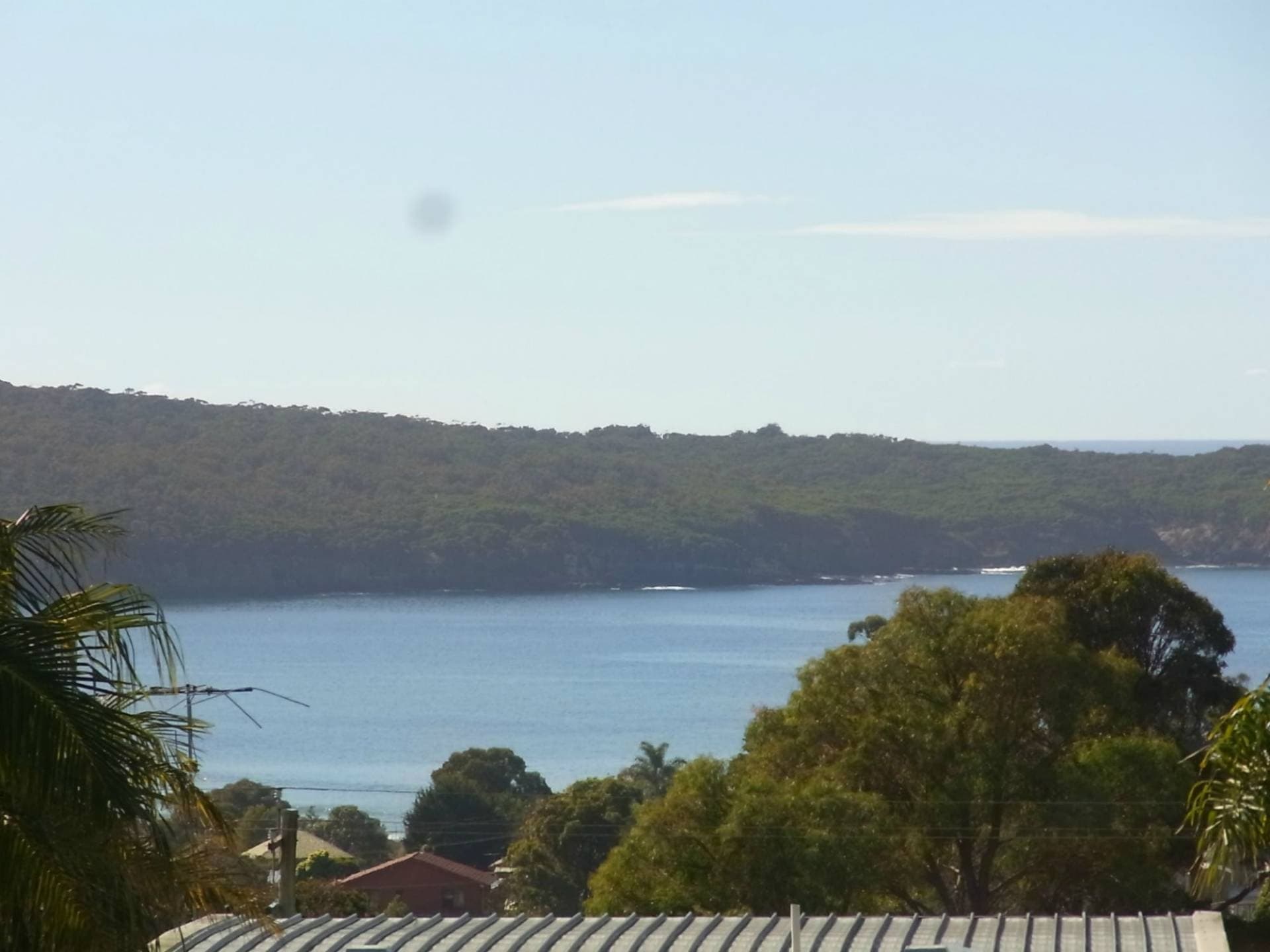 49 Mitchell Street, Eden, Eden - Thumbnail 2