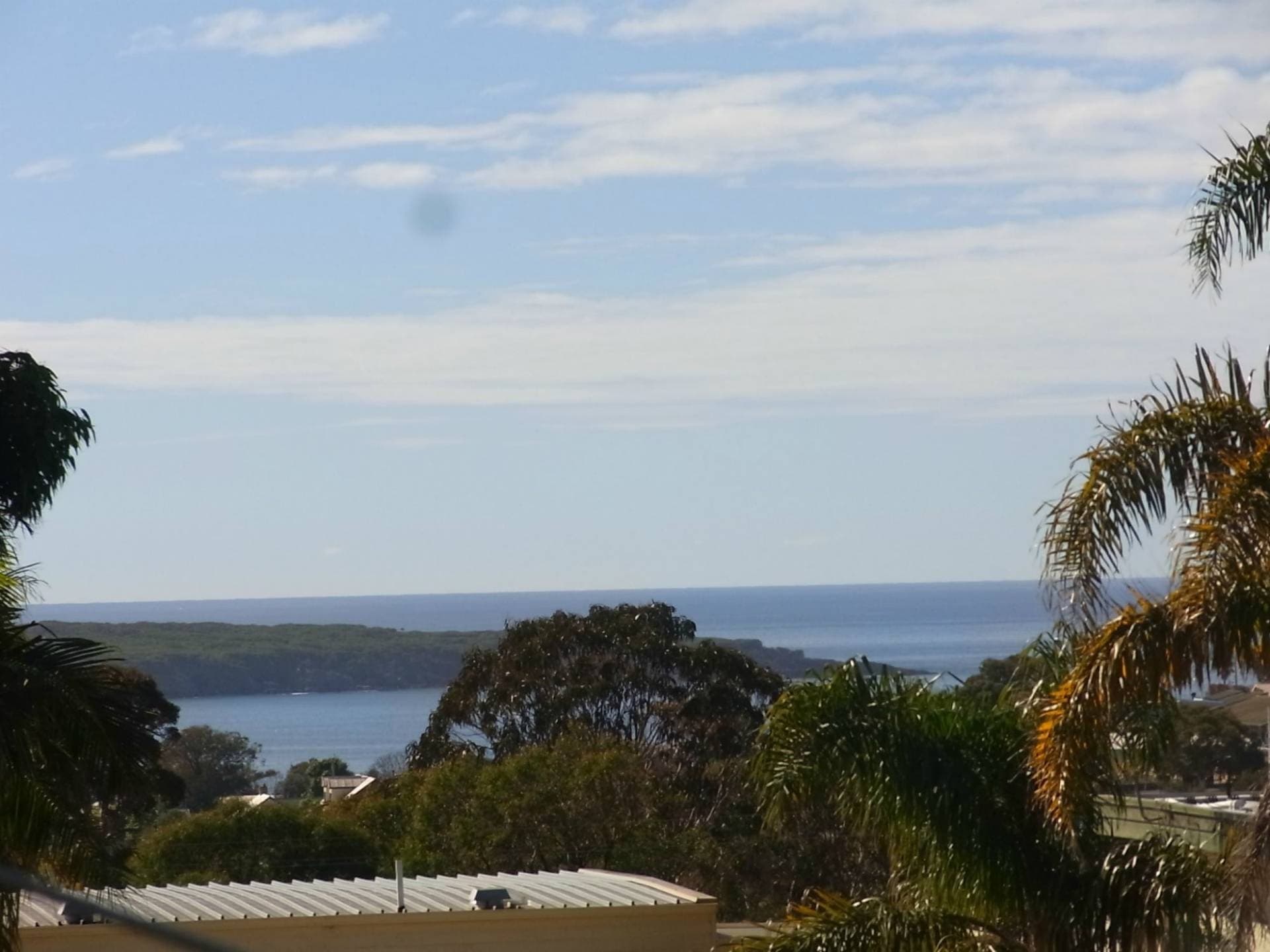49 Mitchell Street, Eden, Eden - Thumbnail 3