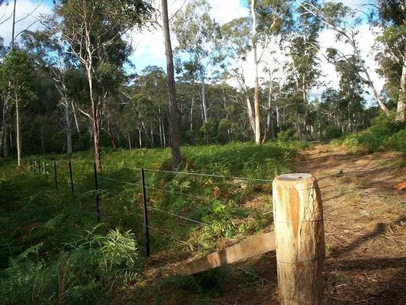 Lot Lot 126 Big Jack Mountain Road, Rocky Hall, Rocky Hall - Thumbnail 2