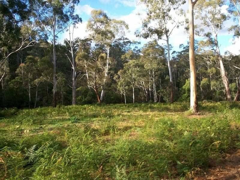 Lot Lot 126 Big Jack Mountain Road, Rocky Hall, Rocky Hall - Thumbnail 3