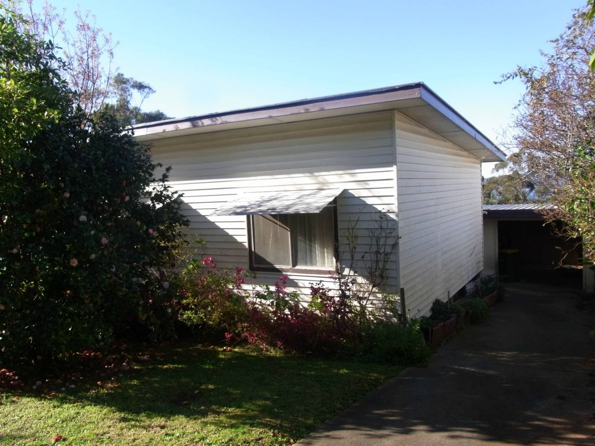 56 Mitchell Street, Eden, Eden - Thumbnail 6