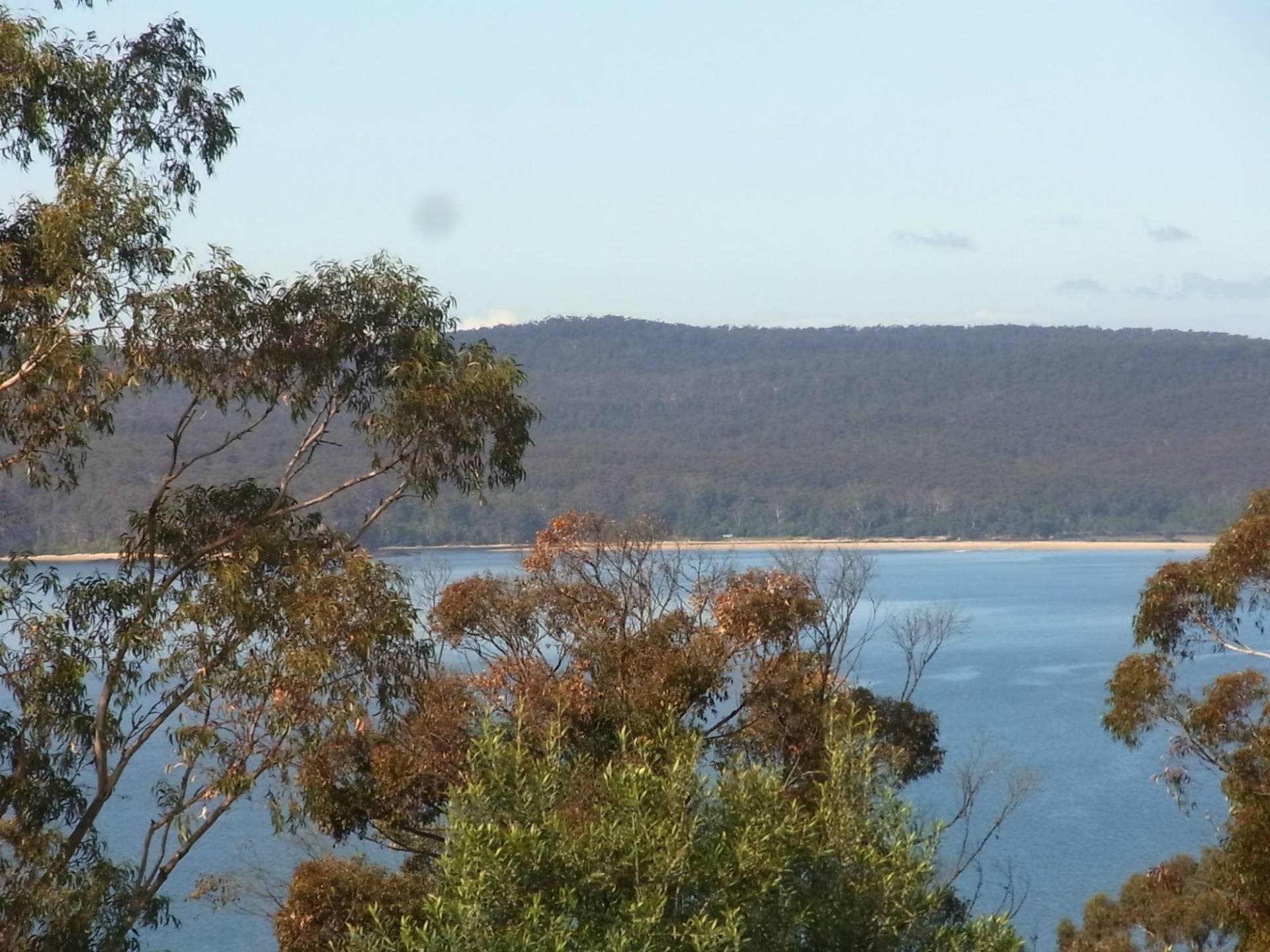 56 Mitchell Street, Eden, Eden - Thumbnail 7