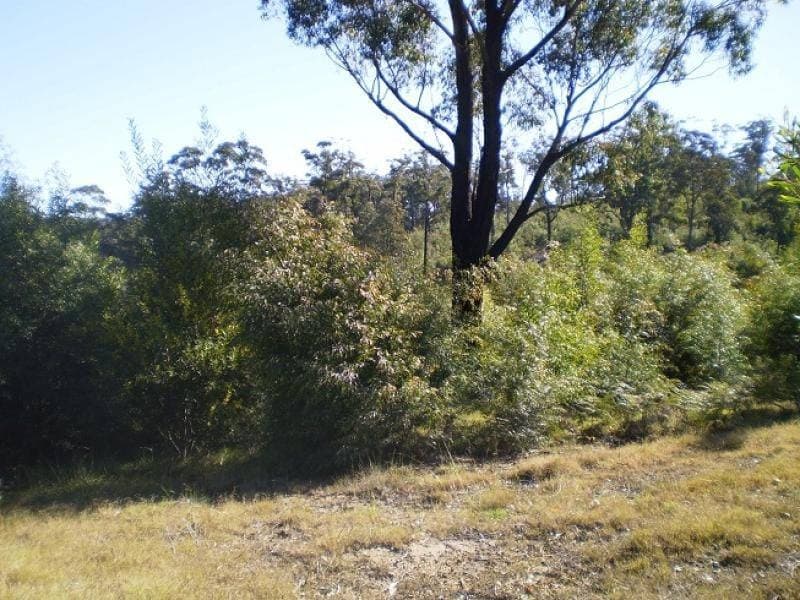 Lot   St, Eden, Eden - Image 1
