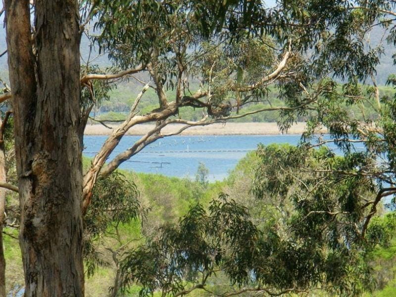 110 Stevens Road, Wonboyn, Wonboyn - Thumbnail 4