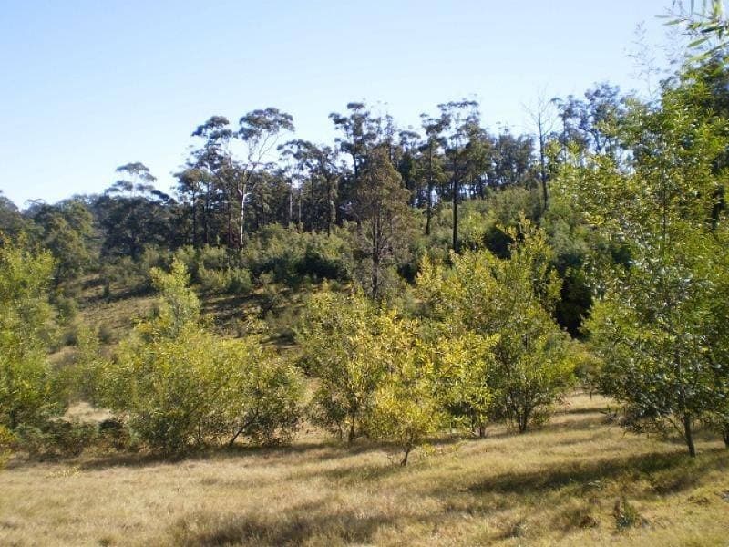 Lot Lot 410 Trumpeter Avenue, Eden, Eden - Image 1