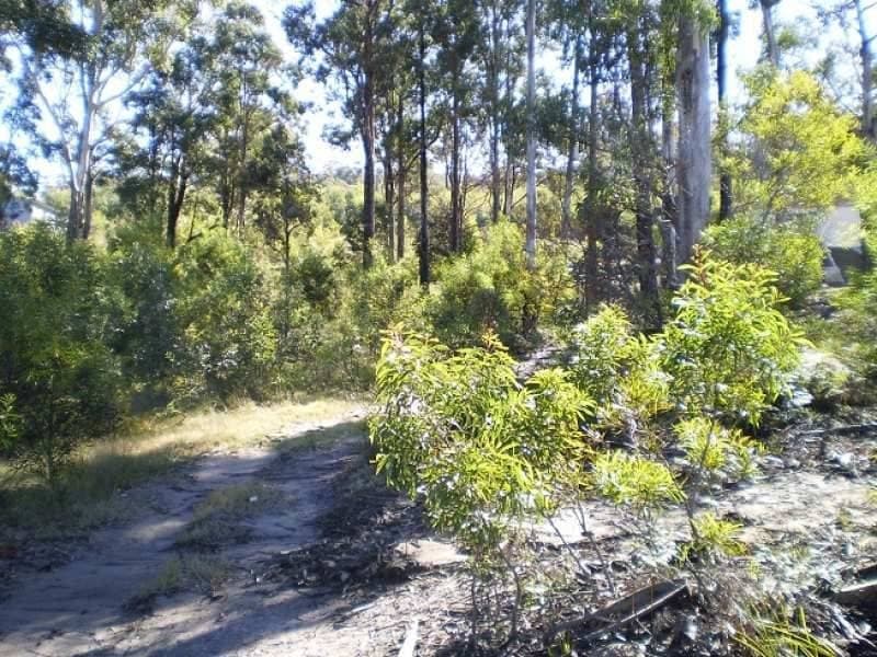 Lot Lot 410 Trumpeter Avenue, Eden, Eden - Thumbnail 3