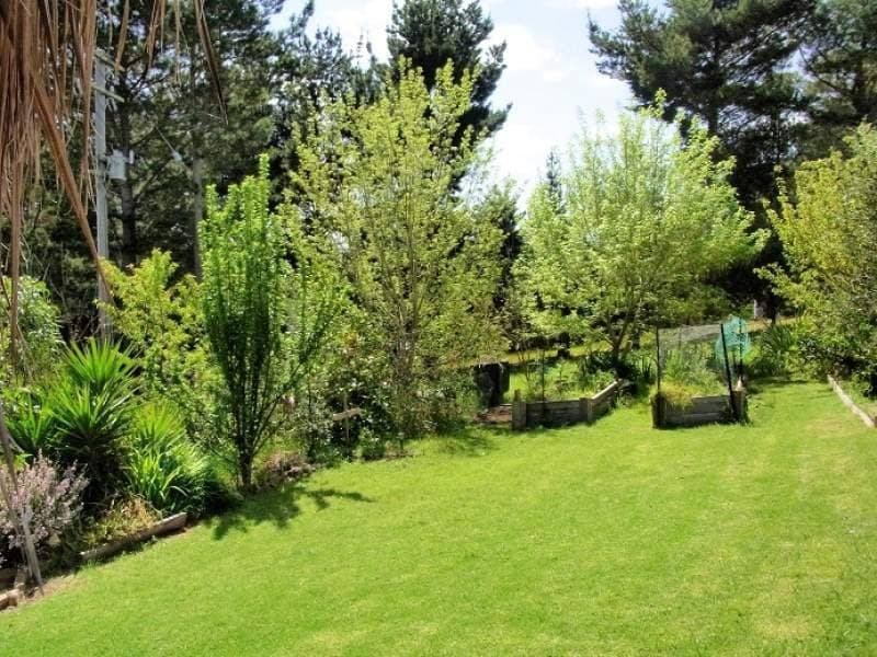 Lot 811 Back Creek Road, Lochiel, Lochiel - Thumbnail 7