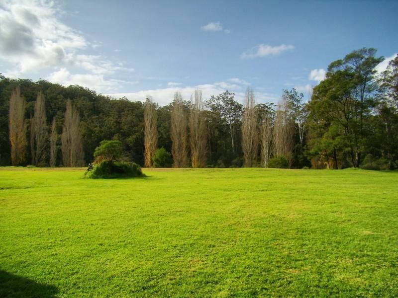 Lot 750 Mustering Ground Road, Kiah - Thumbnail 8