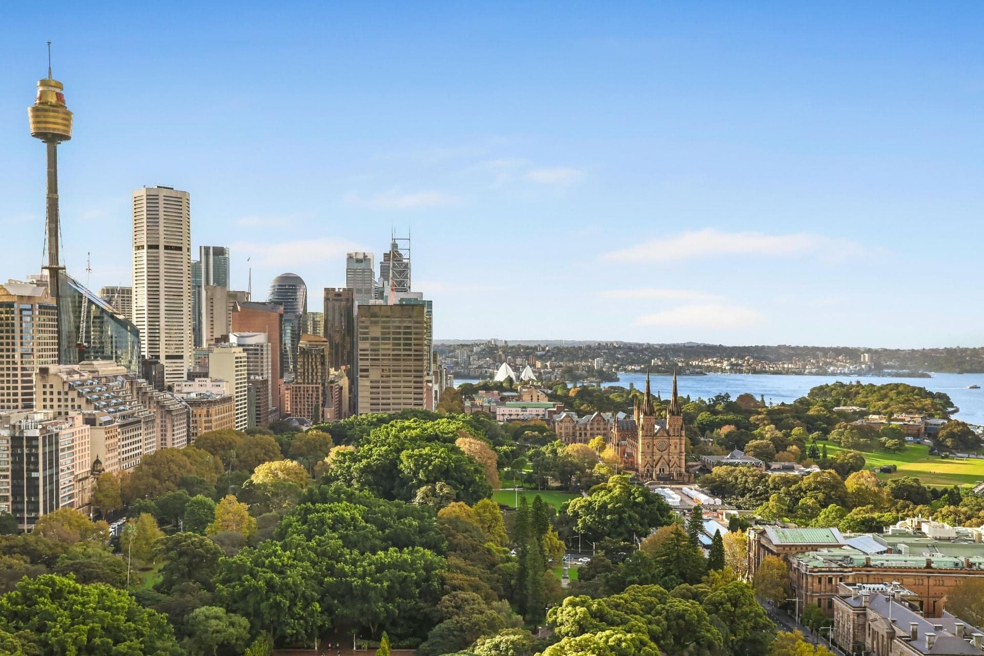 2502/187 Liverpool Street, Sydney NSW, Sydney - Thumbnail 3