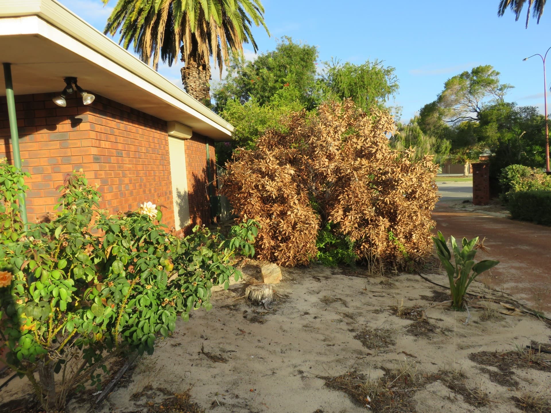 4/33 Leach Highway, Wilson, WA 6107, Wilson - Thumbnail 8