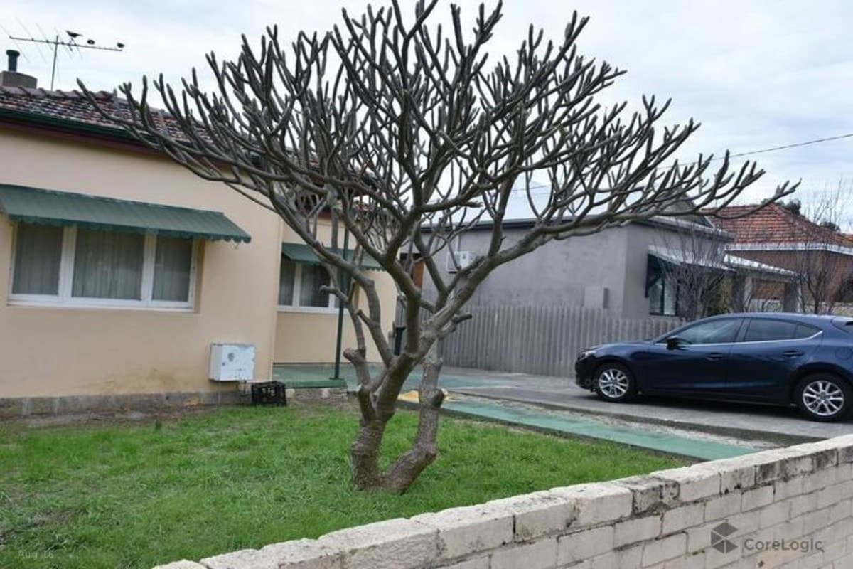22 Ruby Street, North Perth, WA 6006, North Perth - Thumbnail 4