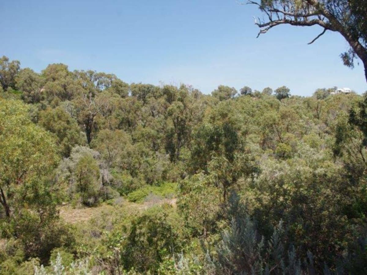 21/621 Lake Preston Road, Myalup, WA 6220, Myalup - Thumbnail 6