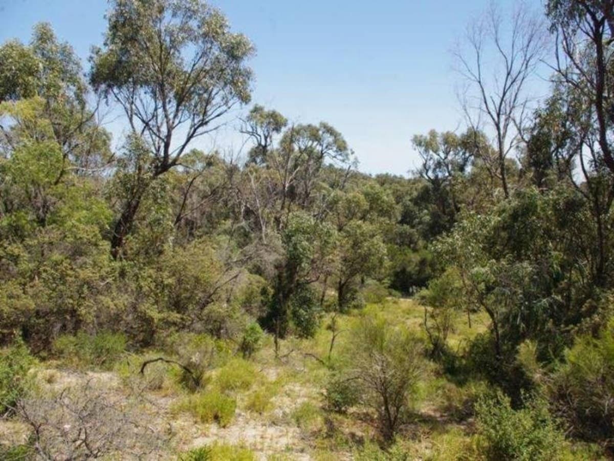21/621 Lake Preston Road, Myalup, WA 6220, Myalup - Thumbnail 7