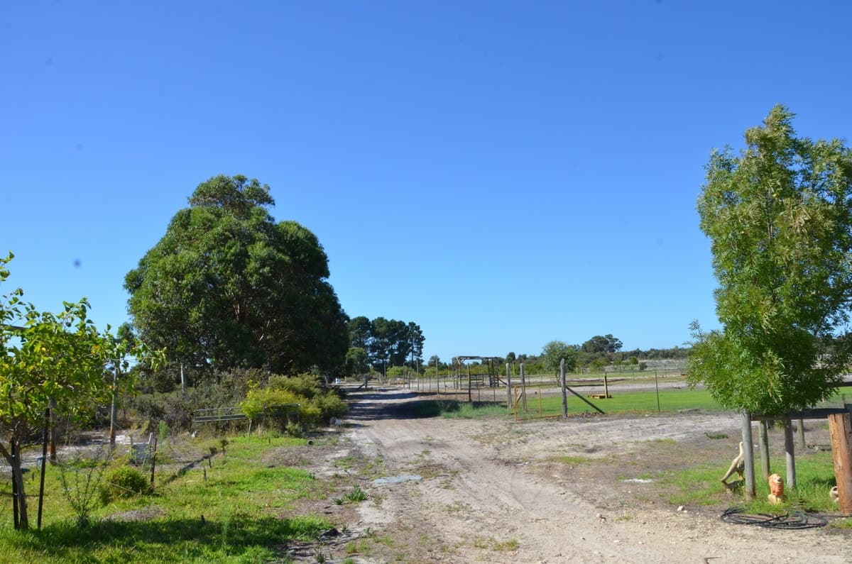 2/240 ELDORADO Road, Muckenburra, WA 6503, Muckenburra - Thumbnail 5