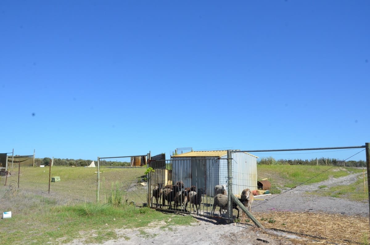 2/240 ELDORADO Road, Muckenburra, WA 6503, Muckenburra - Thumbnail 7