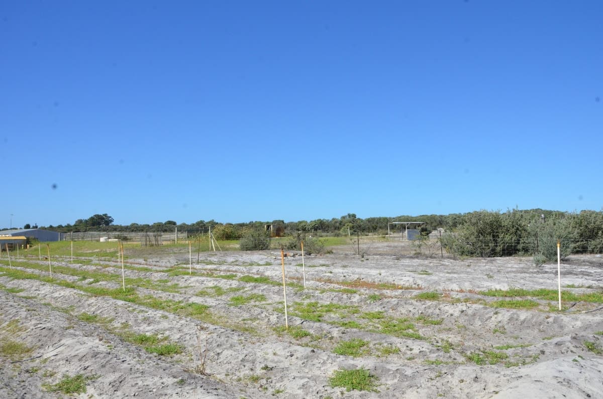 2/240 ELDORADO Road, Muckenburra, WA 6503, Muckenburra - Thumbnail 8