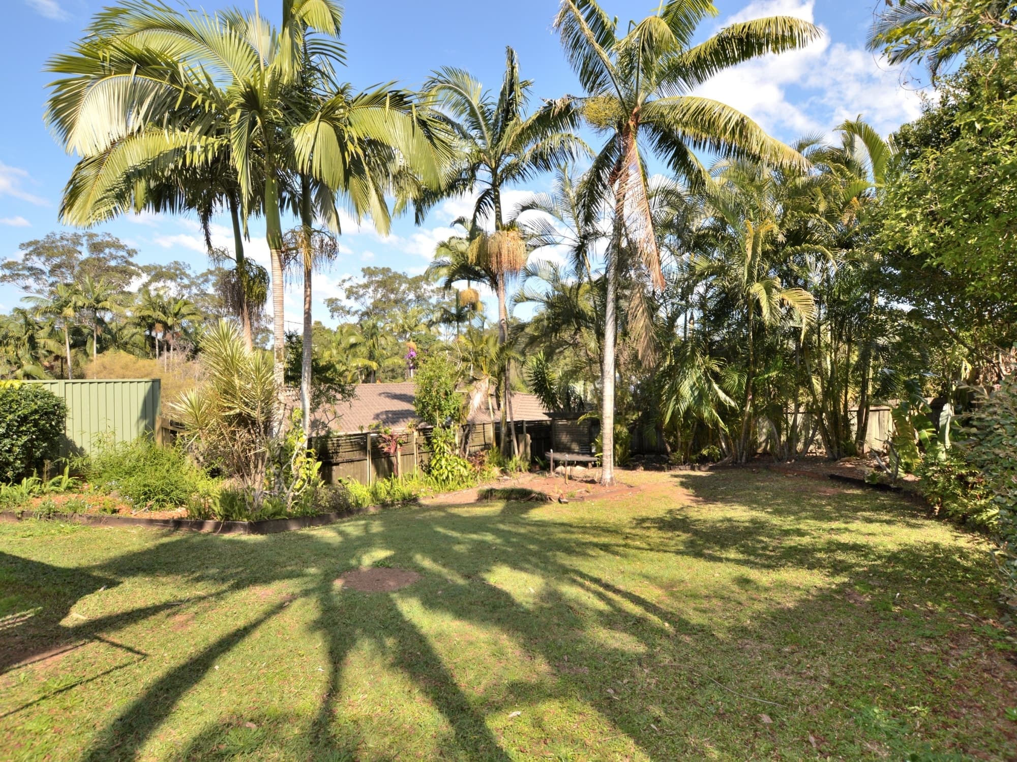 12 Greenlees Ct, Palmwoods, Palmwoods - Thumbnail 7