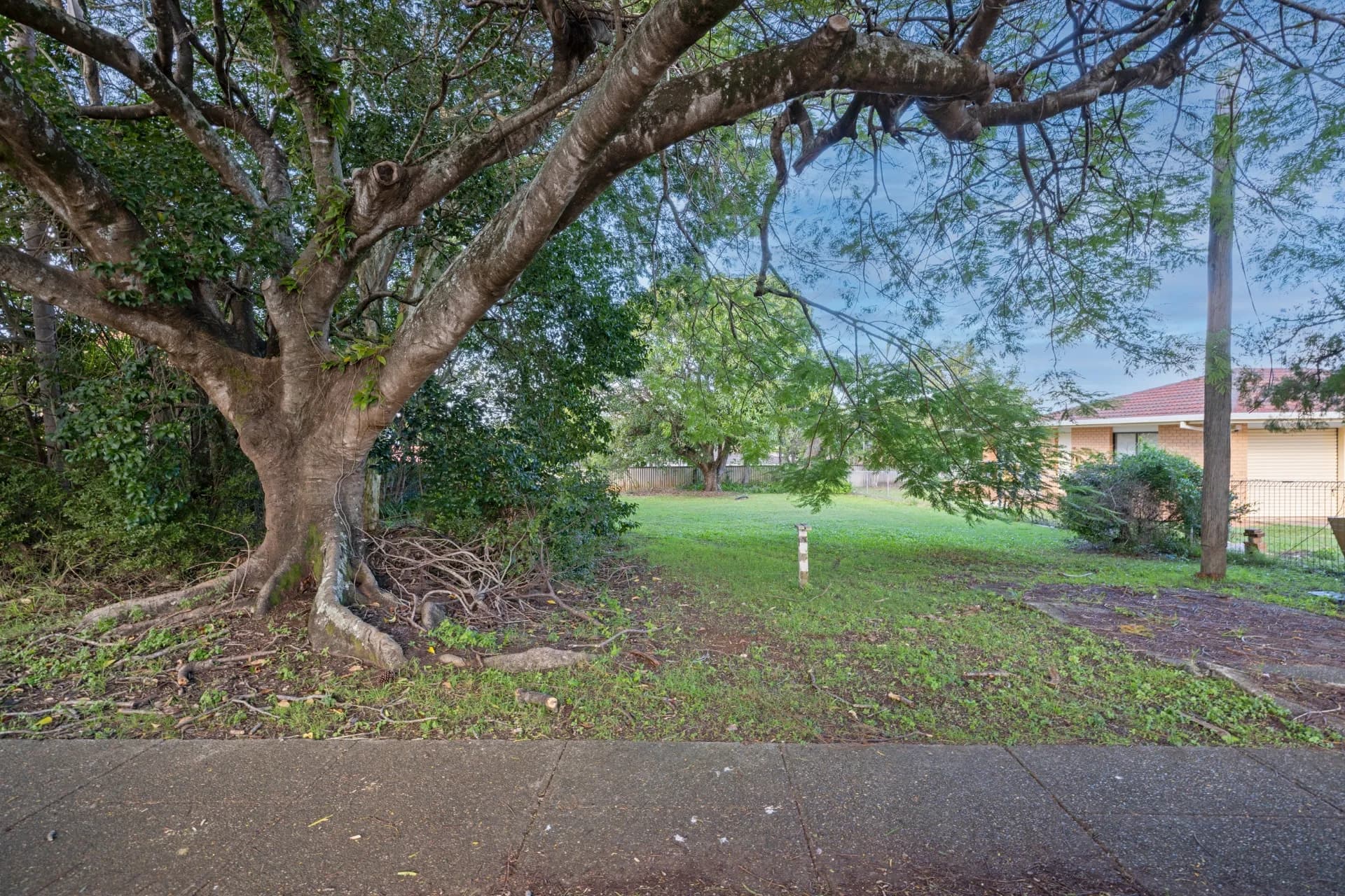 40 Altandi Street, Sunnybank, QLD, Sunnybank - Thumbnail 7