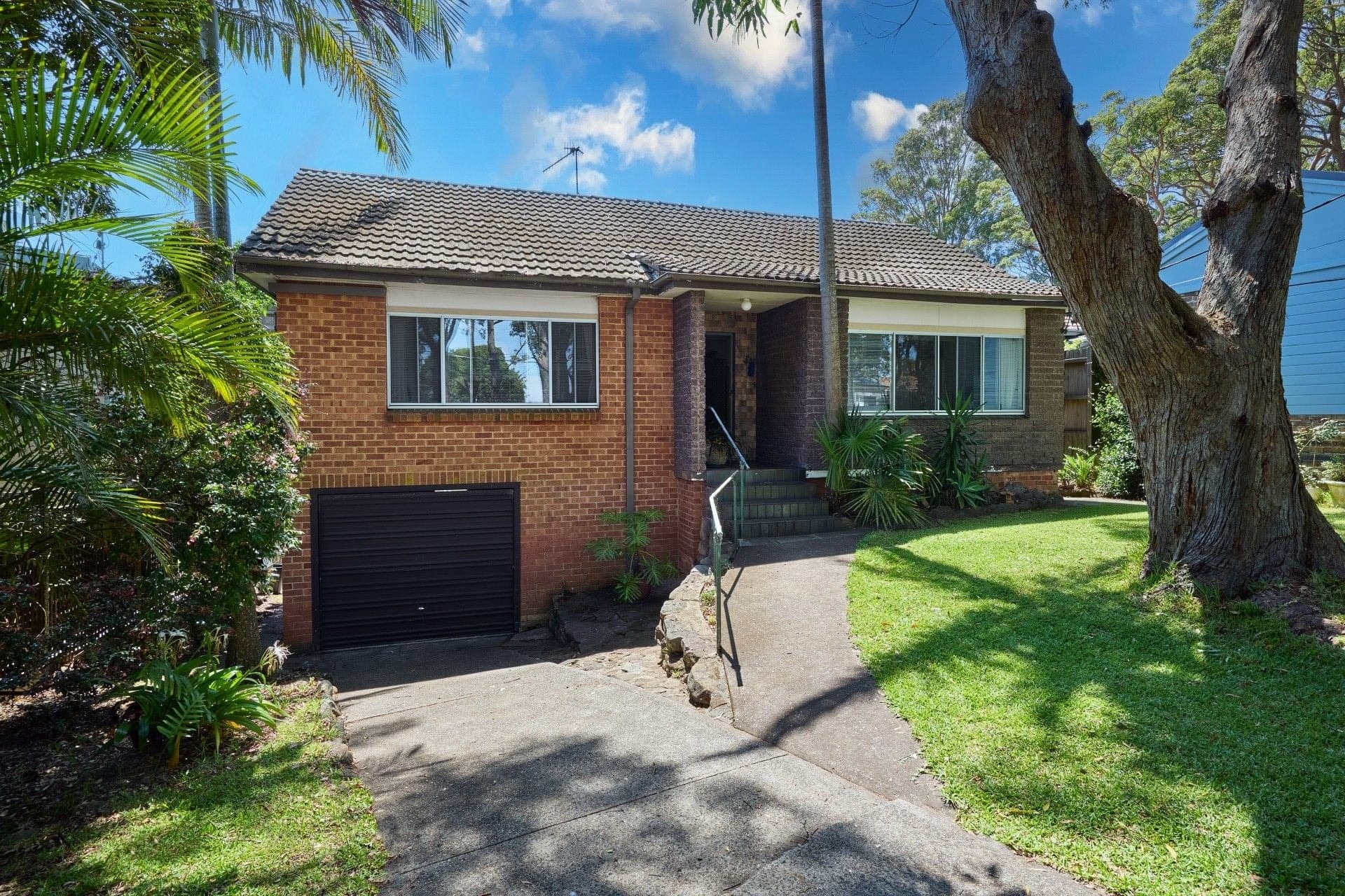 100 Woorarra Avenue, North Narrabeen - Thumbnail 2