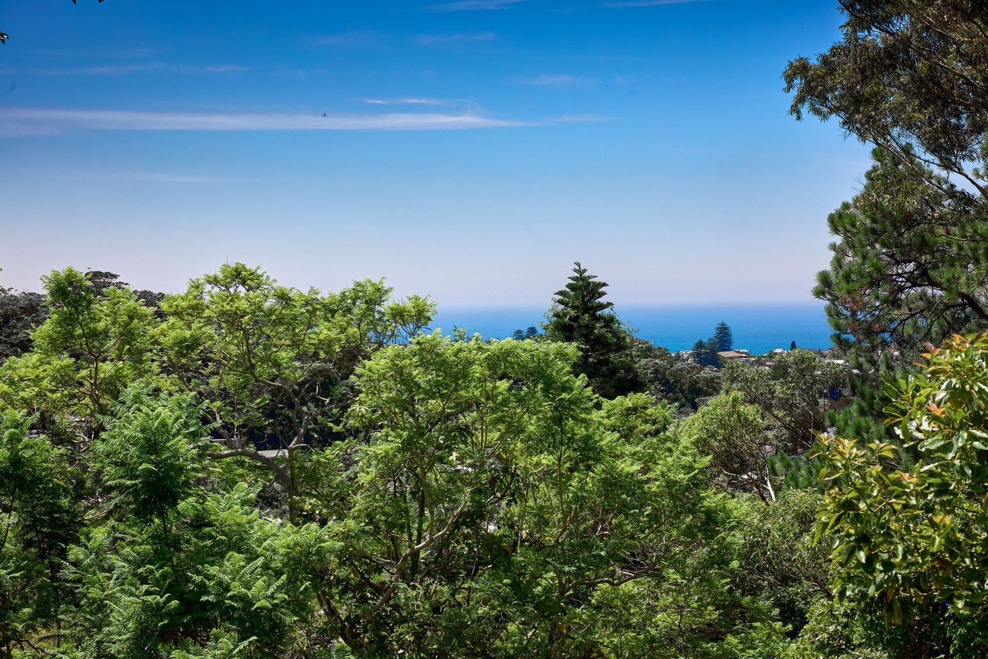 100 Woorarra Avenue, North Narrabeen - Thumbnail 8