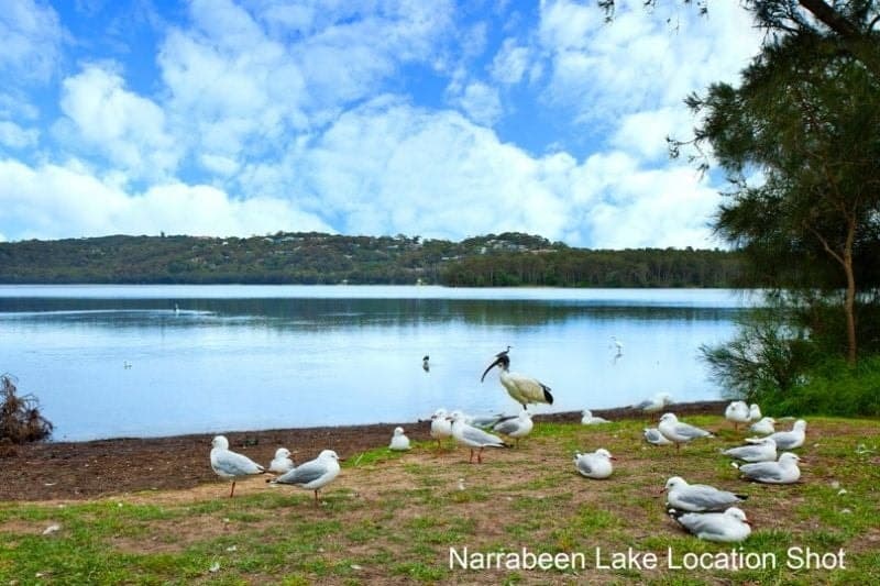 10/24 Goodwin Street, Narrabeen - Image 1