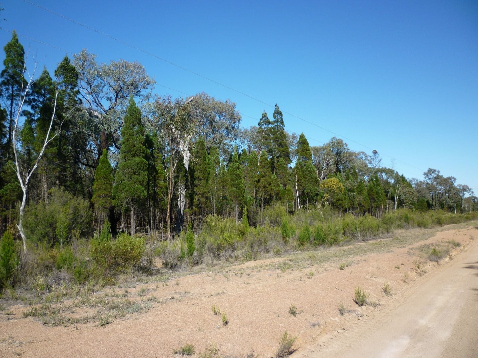 74 Pine Street, Yarrawonga - Thumbnail 2
