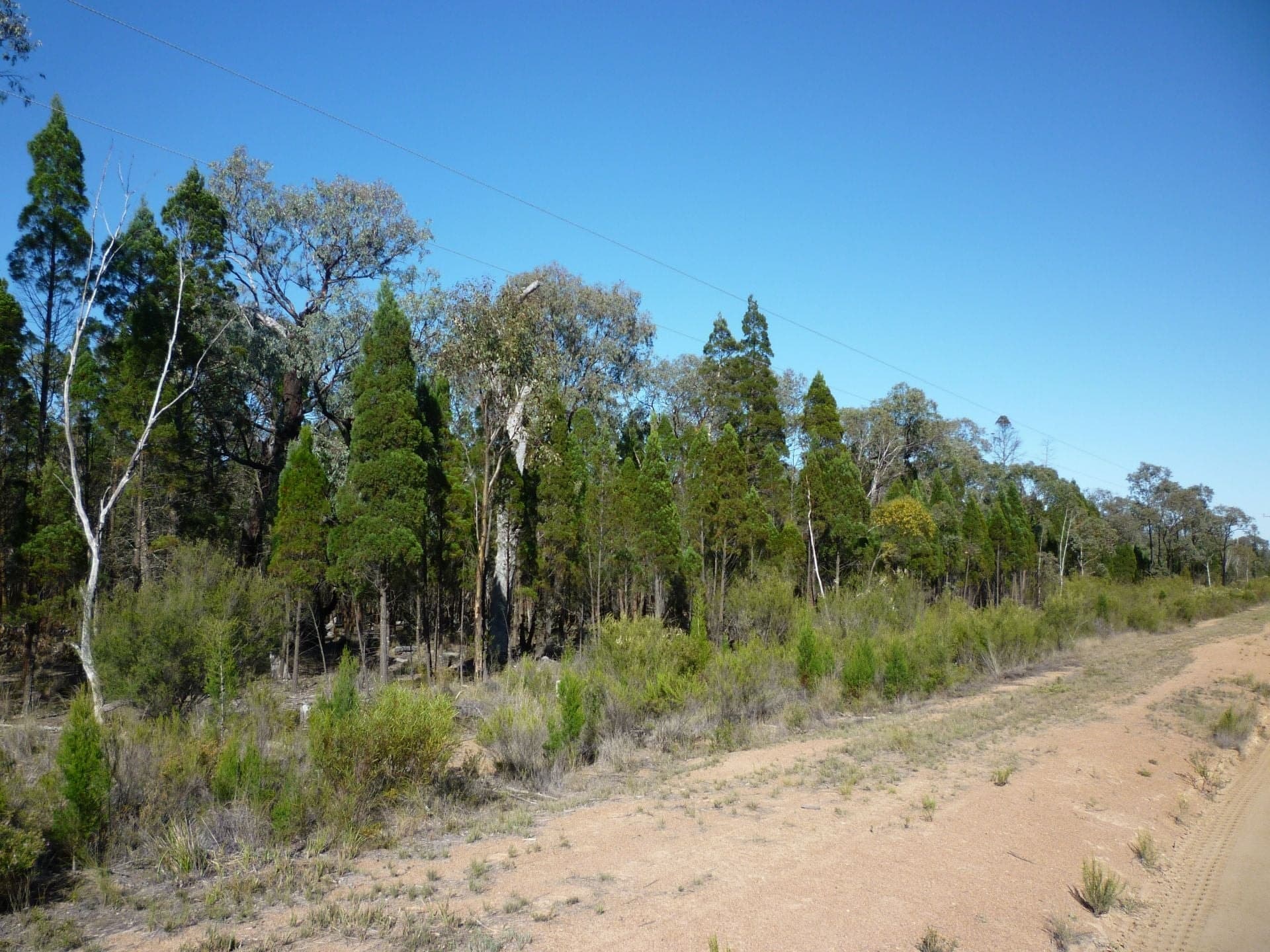 74 Pine Street, Yarrawonga - Thumbnail 3