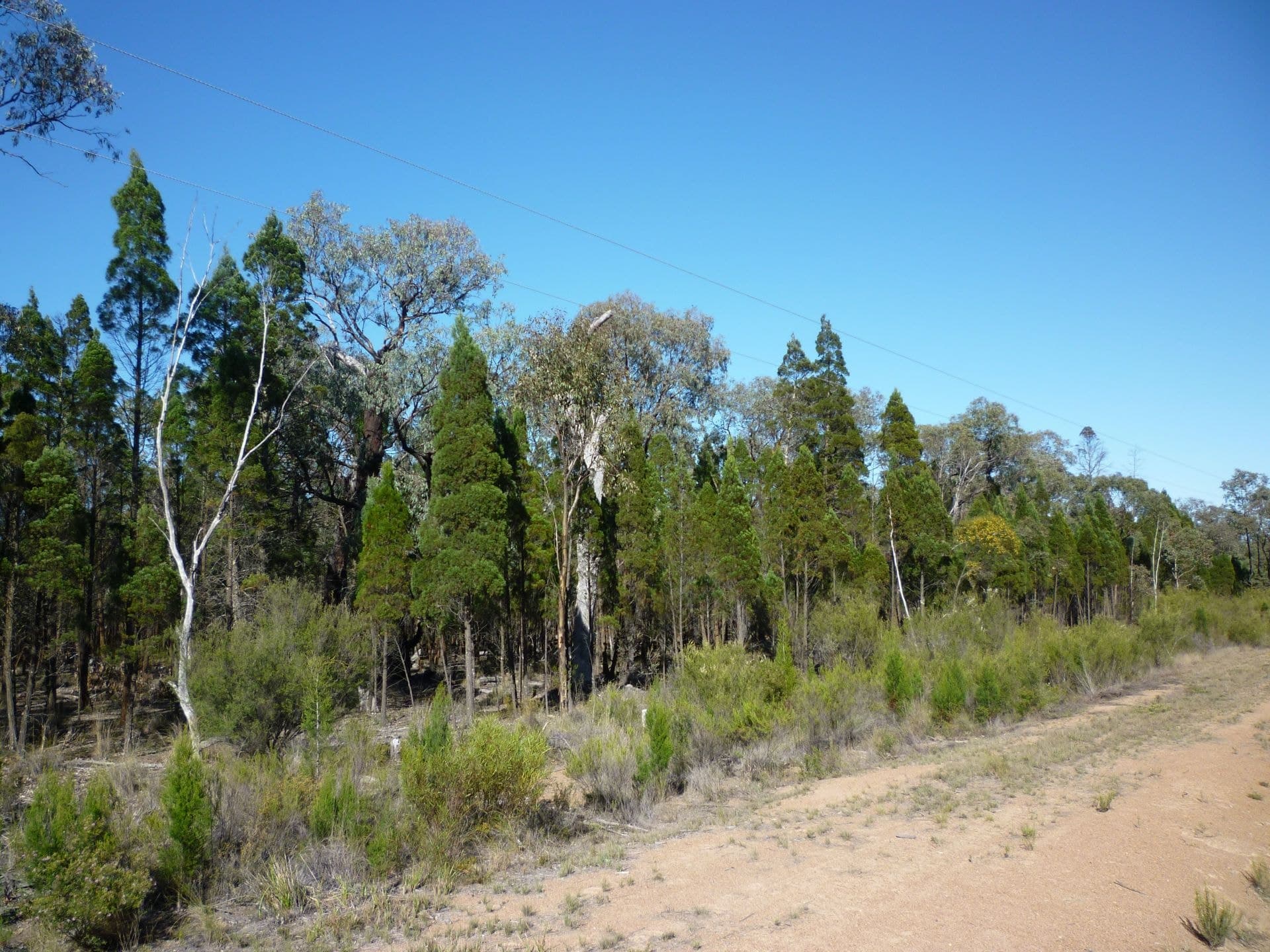 74 Pine Street, Yarrawonga - Thumbnail 5