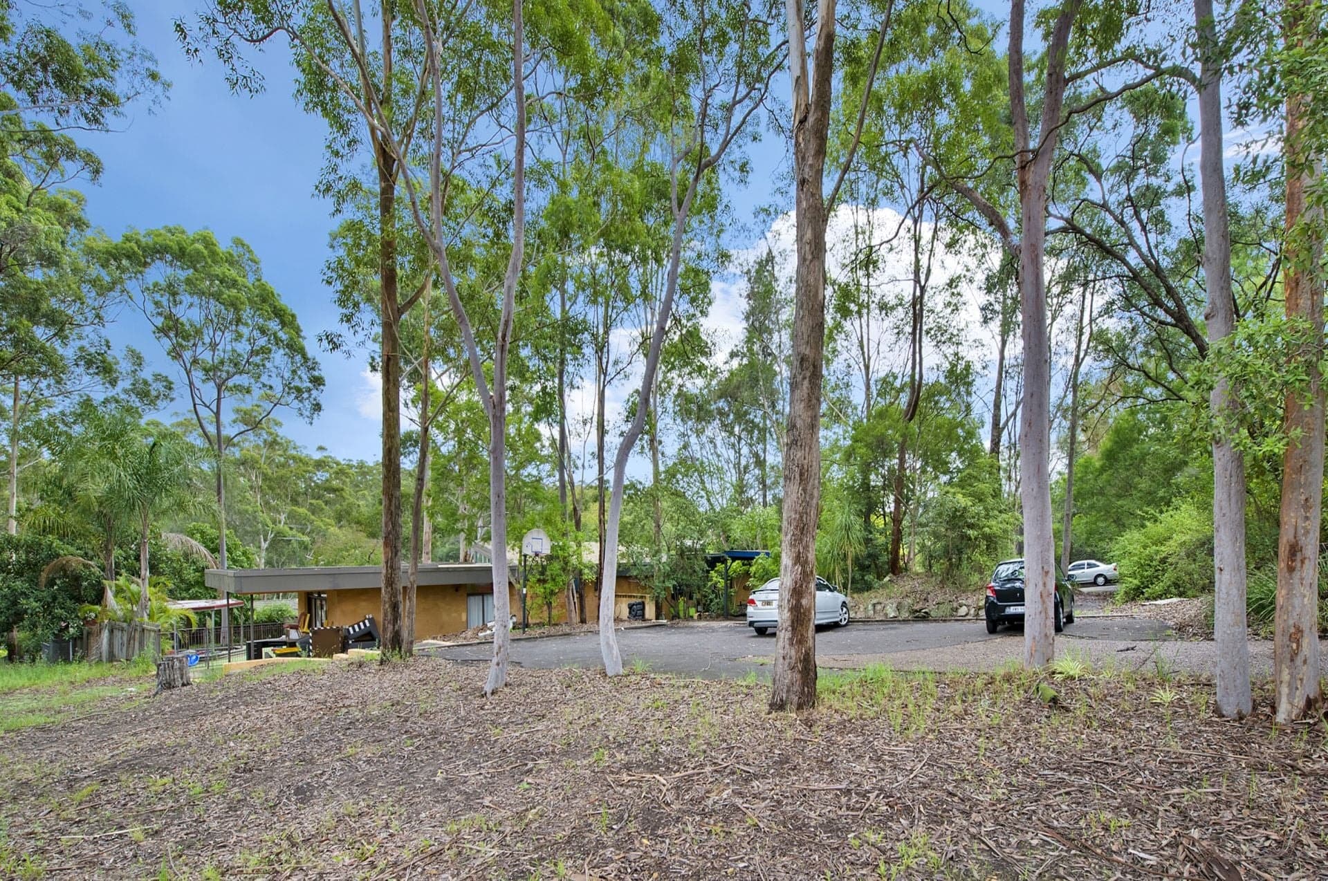 35 Walsh Avenue NSW, Castle Hill - Thumbnail 2