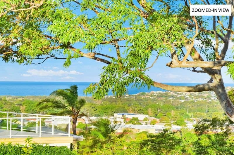 67 Consul Road NSW, Narraweena - Thumbnail 3