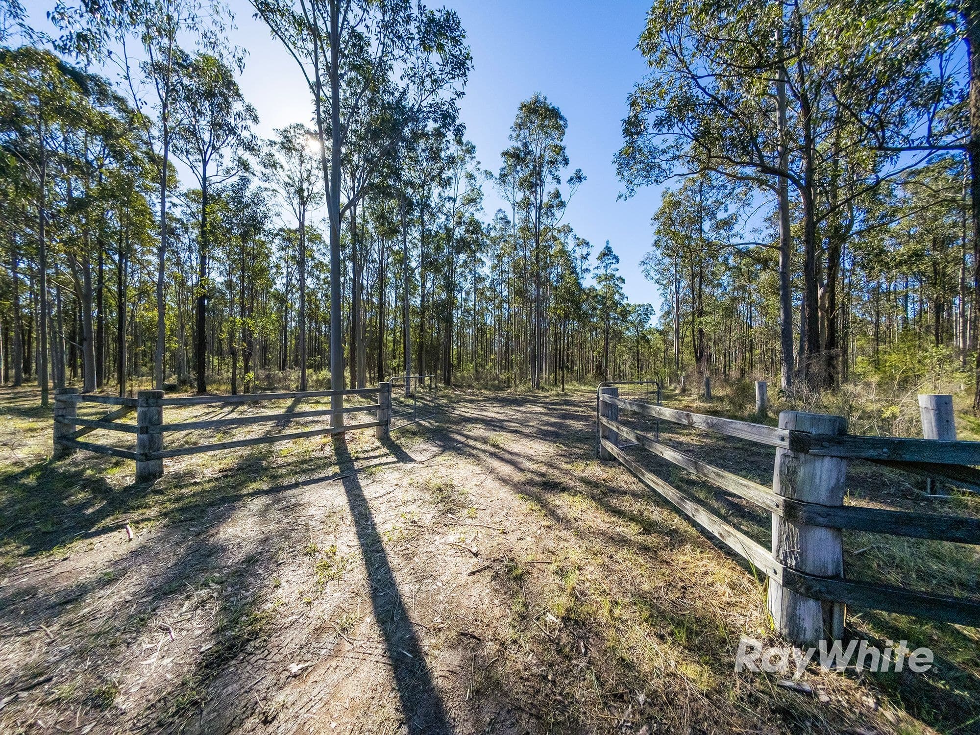 972 Limeburners Creek Road, Clarence Town NSW 2321, Clarence Town - Thumbnail 4