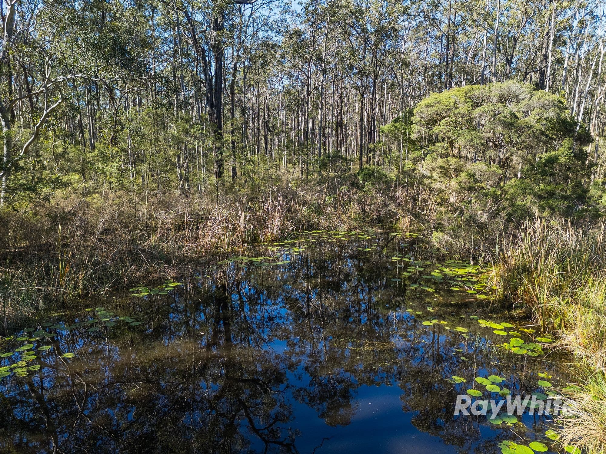 972 Limeburners Creek Road, Clarence Town NSW 2321, Clarence Town - Thumbnail 5