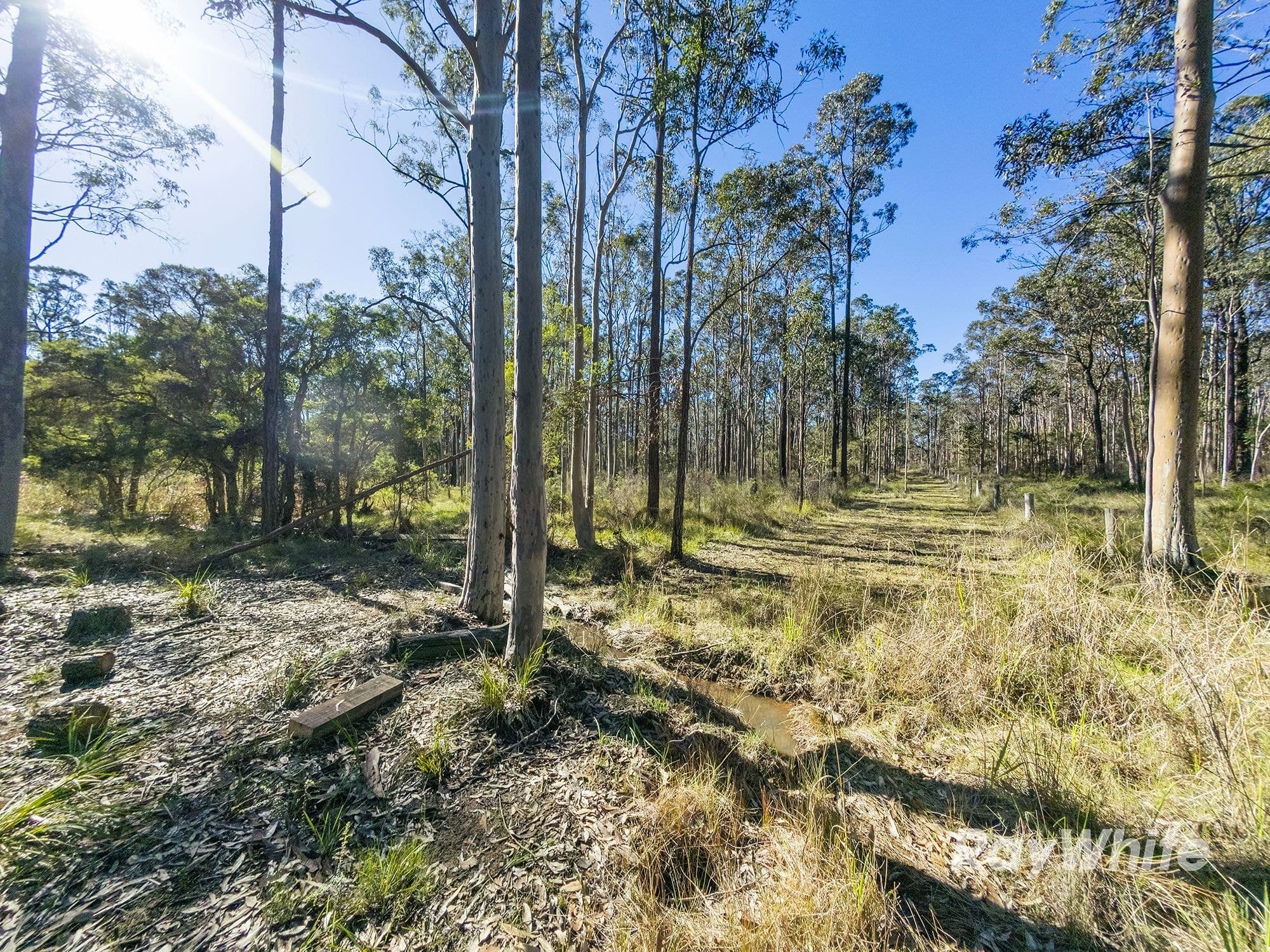972 Limeburners Creek Road, Clarence Town NSW 2321, Clarence Town - Thumbnail 6