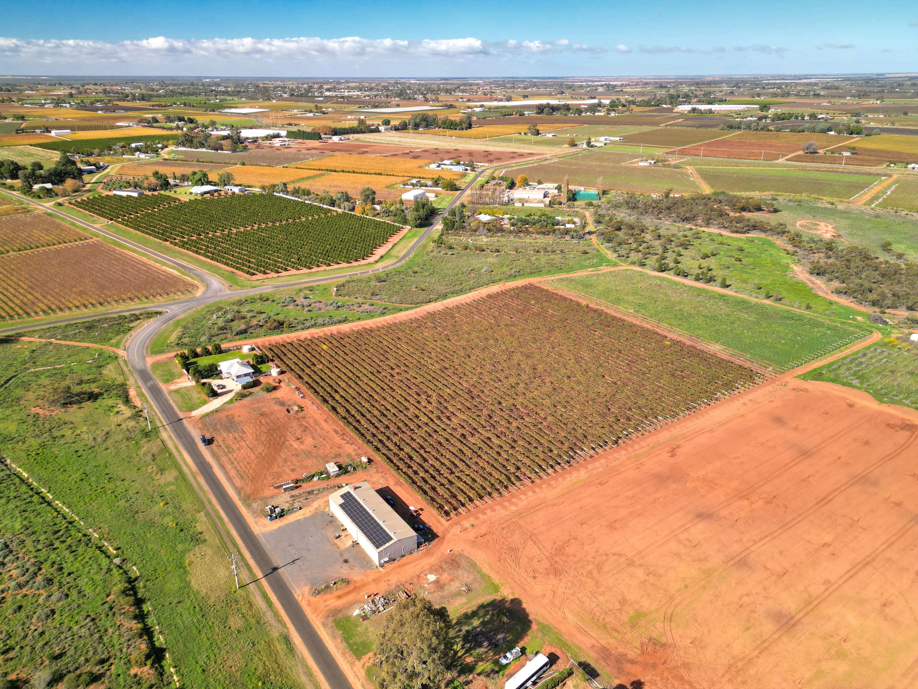 343 Pawson Avenue, Cardross VIC 3496, Cardross - Thumbnail 6