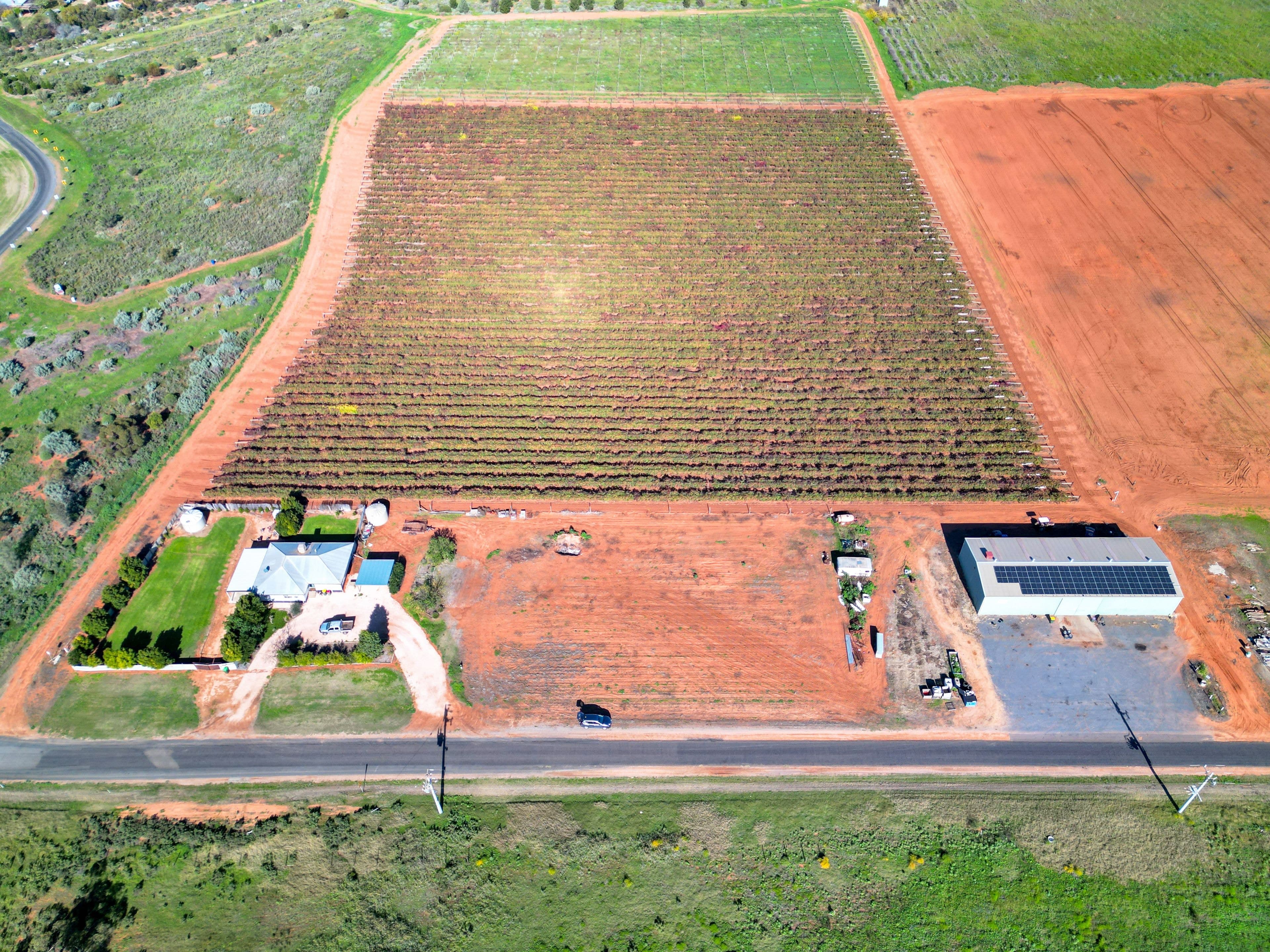 343 Pawson Avenue, Cardross VIC 3496, Cardross - Thumbnail 7