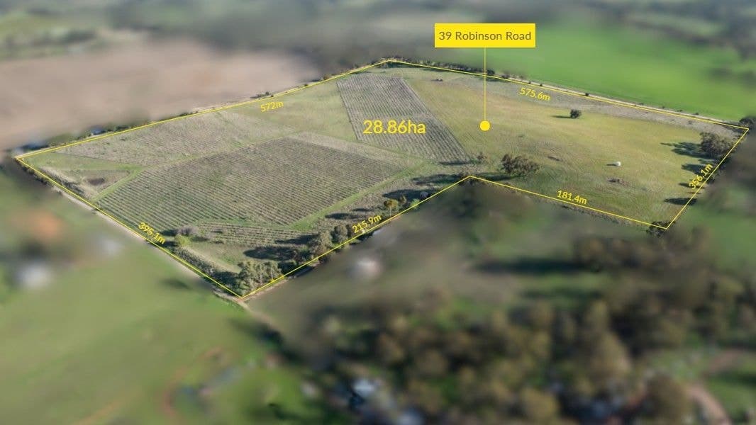39 Robinson Road, Stanley Flat SA 5453, Stanley Flat - Image 1