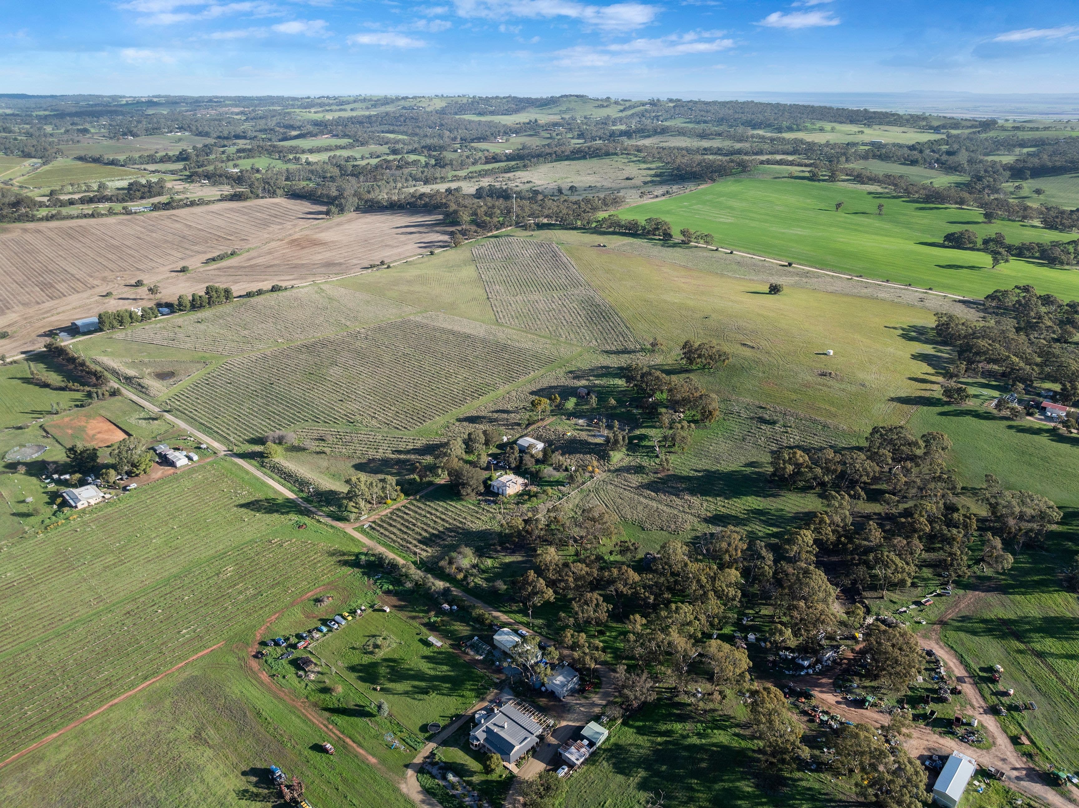39 Robinson Road, Stanley Flat SA 5453, Stanley Flat - Thumbnail 4