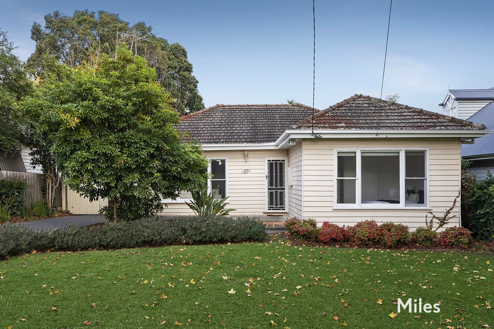 10 Hilltop Avenue, Macleod, Macleod - Thumbnail 3