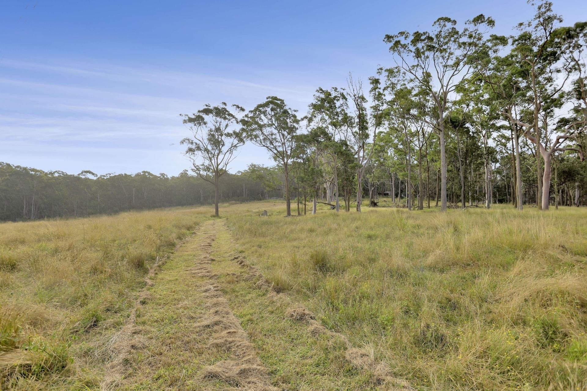 143 Bloomfield Road, Jilliby NSW, Jilliby - Thumbnail 2