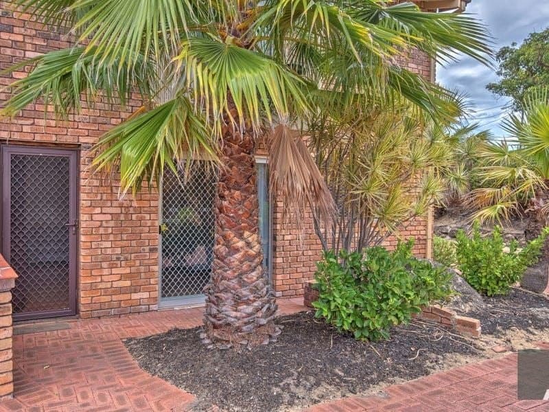 1/10 Fletcher Street YOKINE WA, Yokine - Image 1