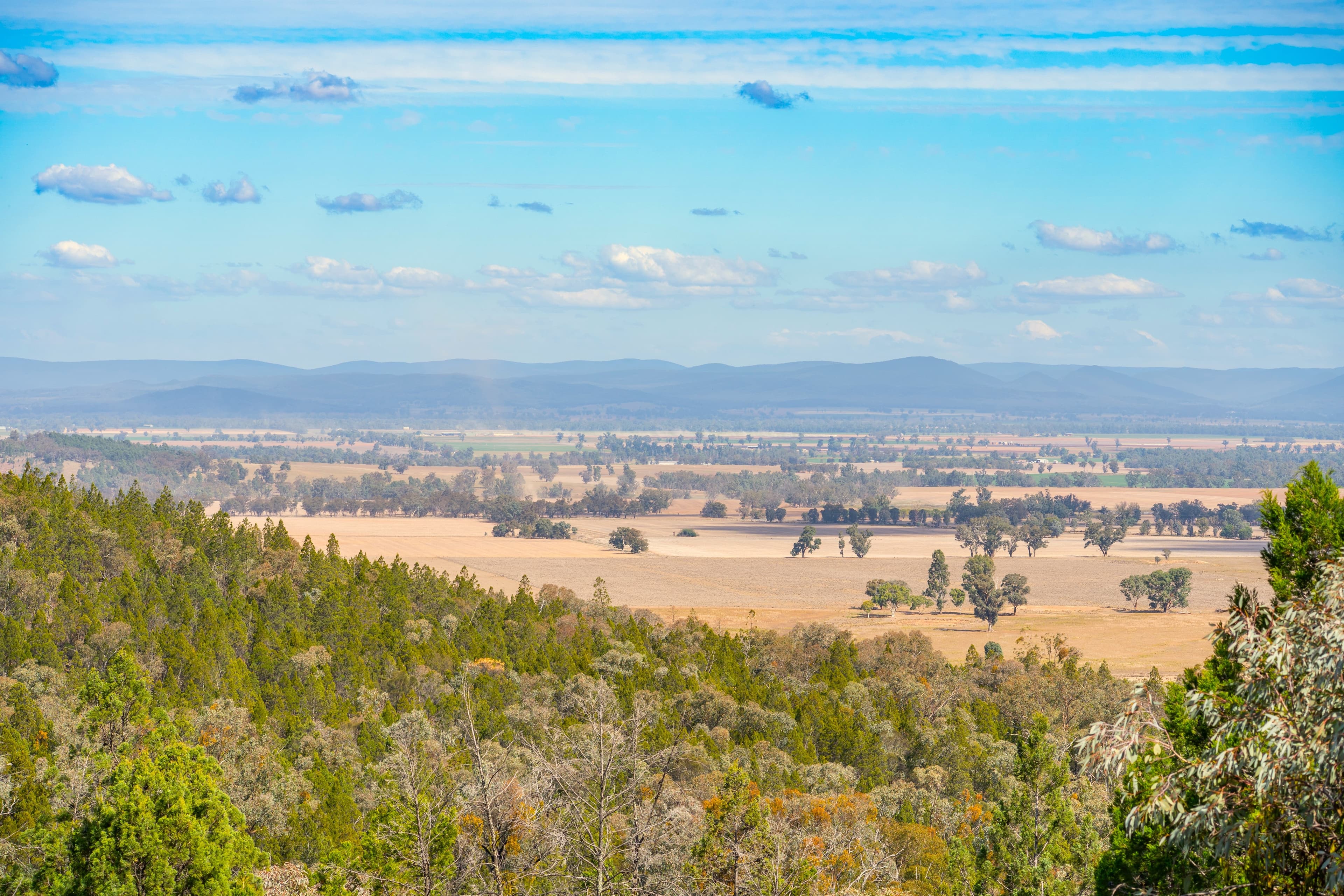 3705 Nanami Lane, CANOWINDRA NSW 2804, Canowindra - Thumbnail 8