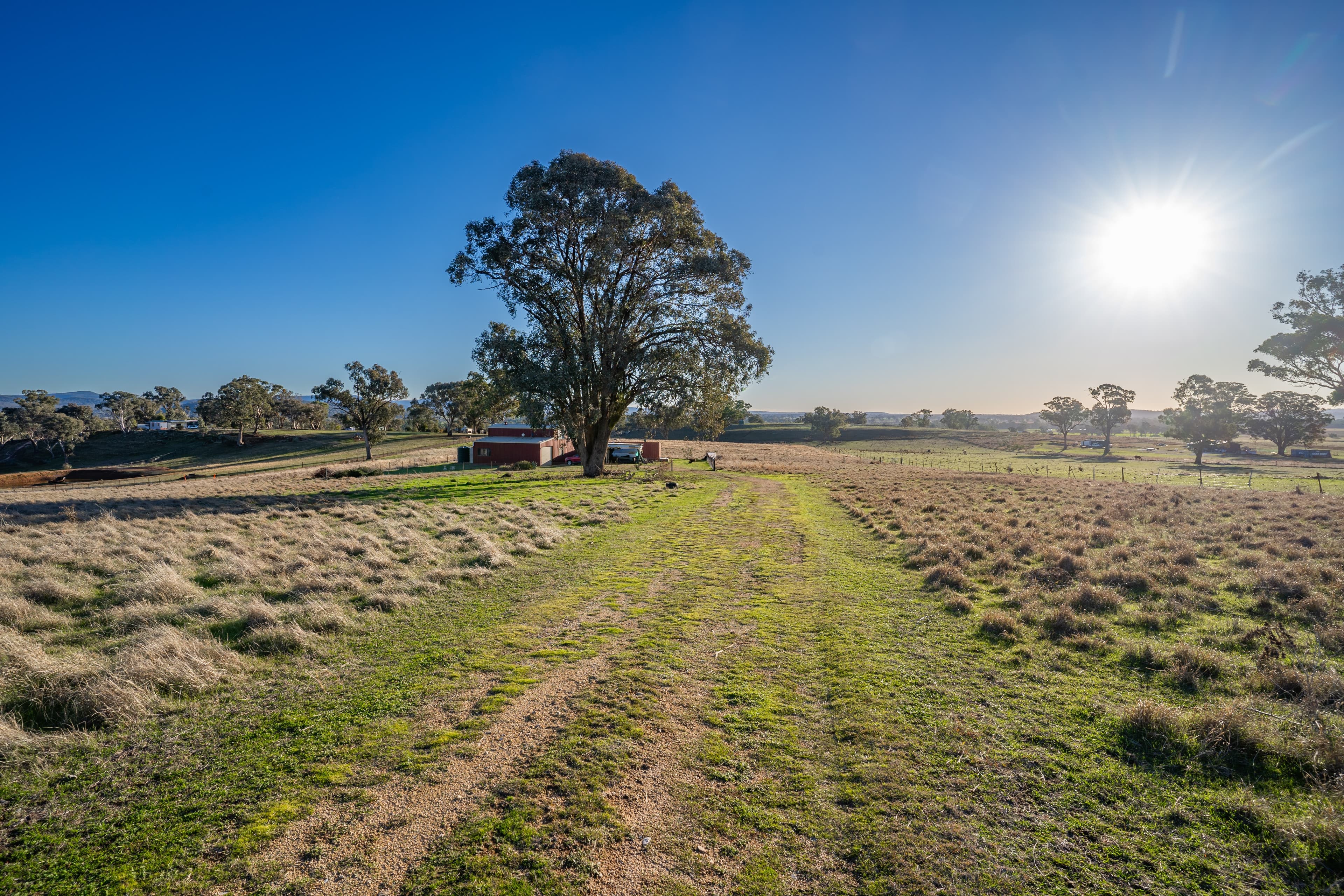 152 Cultowa Lane, Canowindra NSW 2804, Canowindra - Thumbnail 6