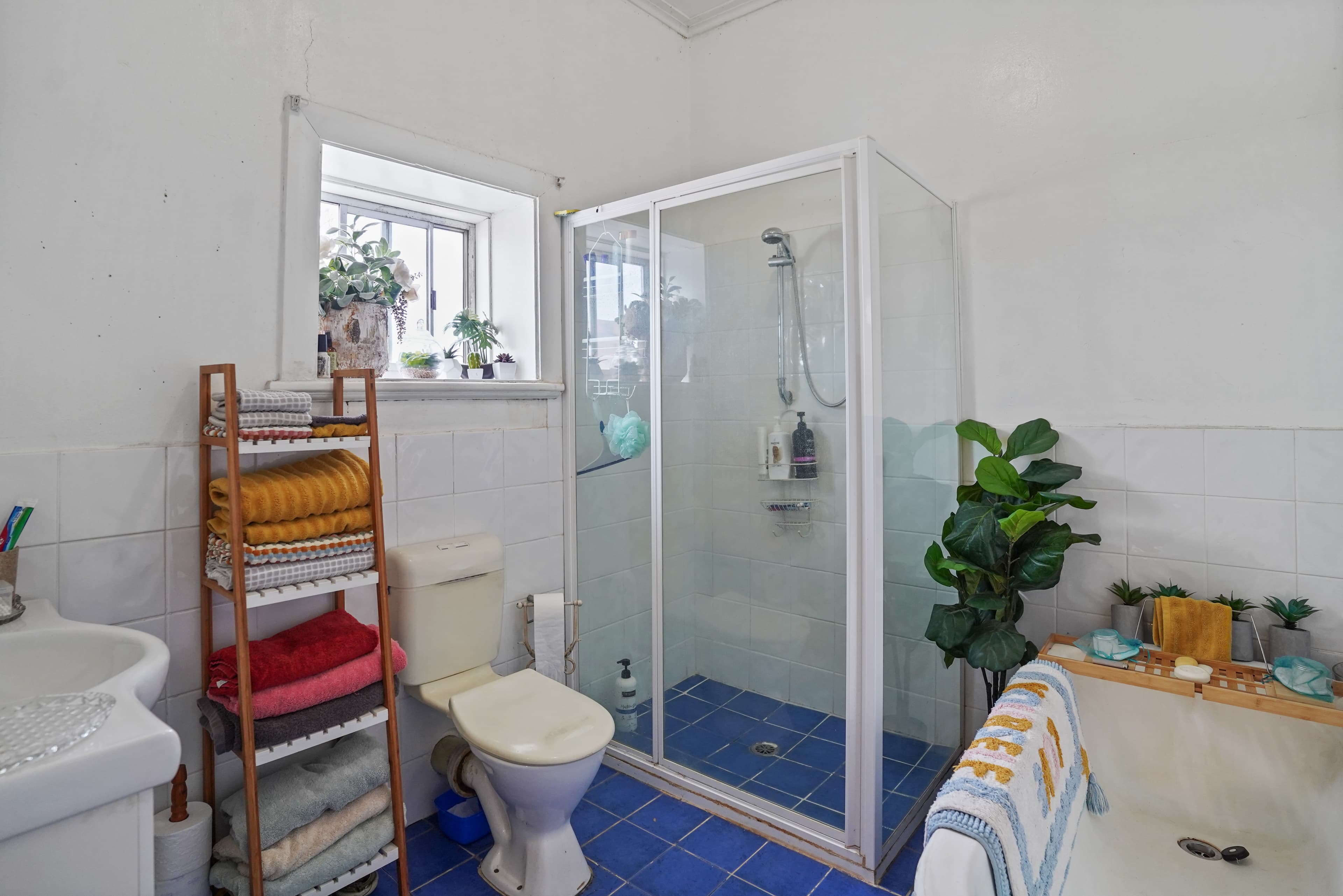 45 Gaskill Street, Canowindra NSW 2804, Canowindra - Thumbnail 5