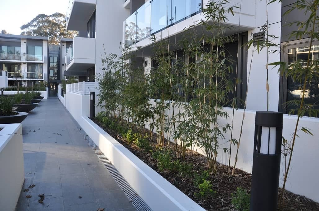 55/18 Austin Street, Griffith ACT 2603, Griffith - Image 1