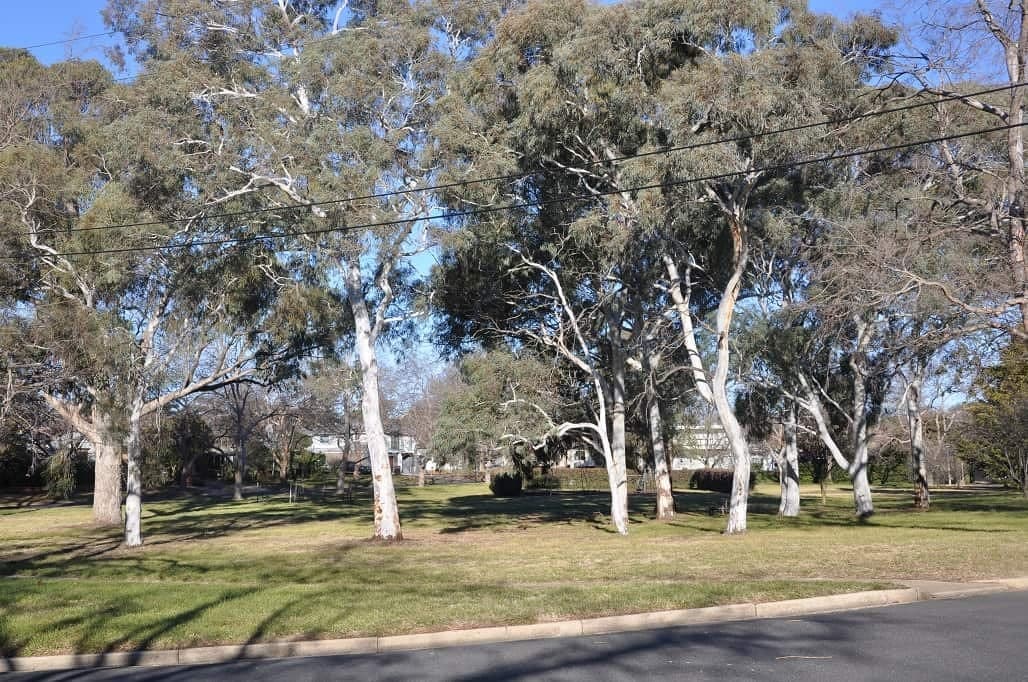 55/18 Austin Street, Griffith ACT 2603, Griffith - Thumbnail 3