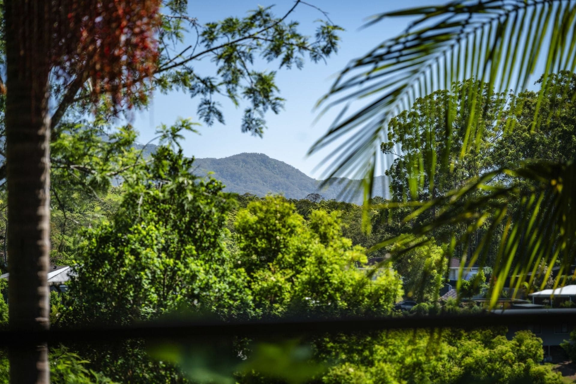 4 Melia Place BELLINGEN NSW, Bellingen - Image 1