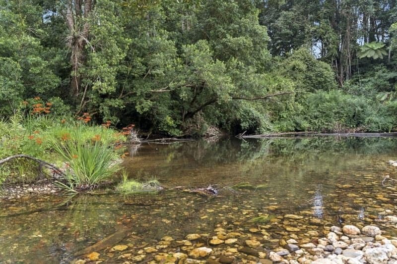 1622 Kalang Road BELLINGEN NSW, Bellingen - Thumbnail 6
