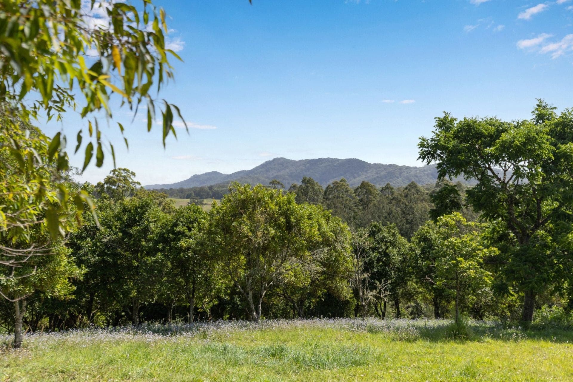 Lot 11 Highfield Road VALLA NSW, Valla - Image 1