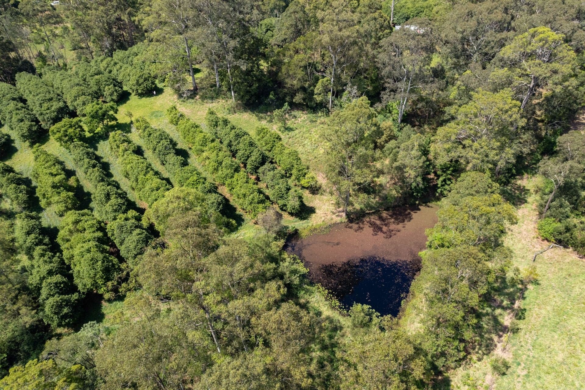 Lot 11 Highfield Road VALLA NSW, Valla - Thumbnail 5